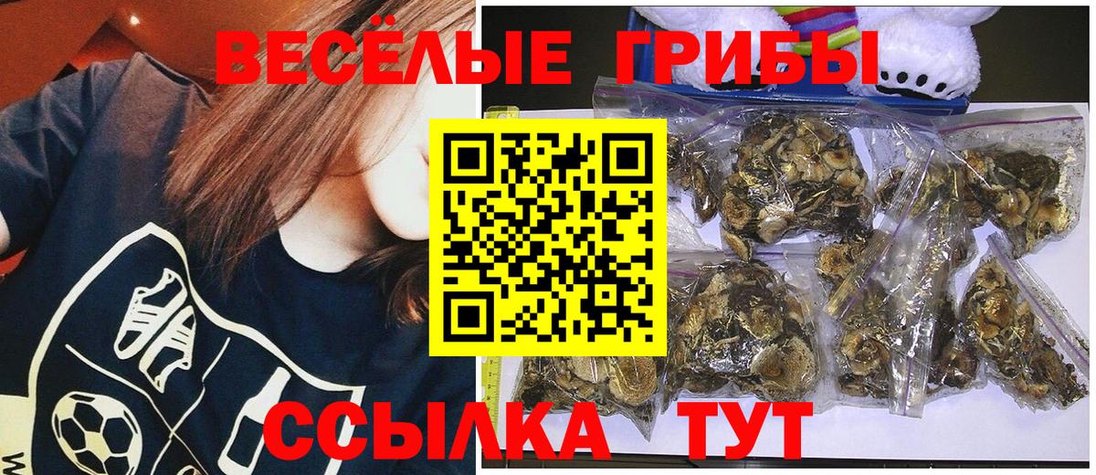 Псилоцибиновые грибы мицелий  Псилоцибиновые грибы Magic Shrooms  Вход с VPN  Назрань 